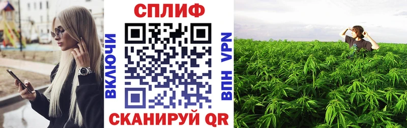 Купить МДМА  Codein  Амфетамин  Бошки Шишки  Гашиш  СК  МЕФ  Абаза