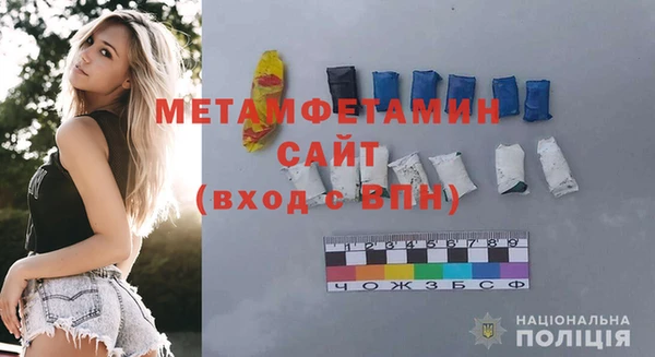 прущие грибы Ельня