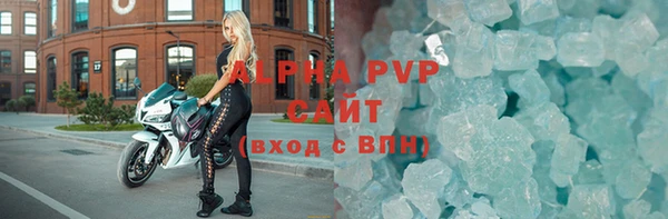 прущие грибы Ельня