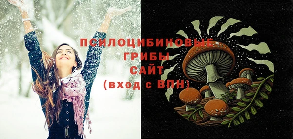 прущие грибы Ельня