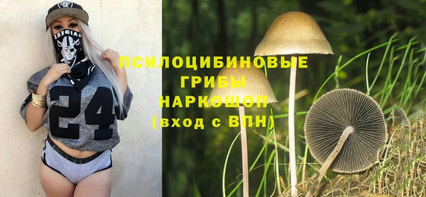 прущие грибы Ельня