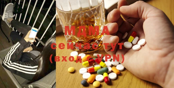 прущие грибы Ельня
