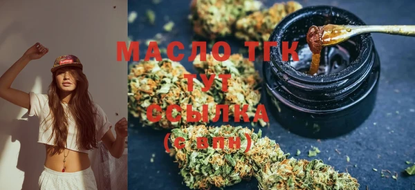 прущие грибы Ельня