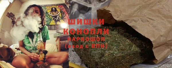 прущие грибы Ельня