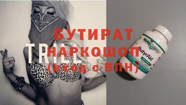 прущие грибы Ельня